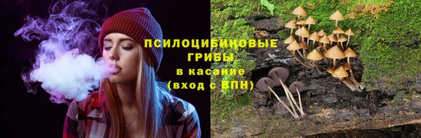 трава Мегион
