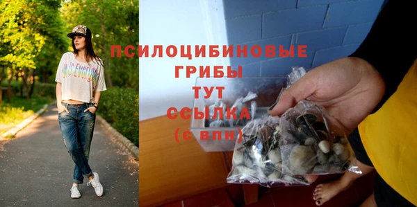 spice Медногорск