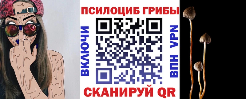 Галлюциногенные грибы MAGIC MUSHROOMS  цена наркотик  OMG сайт  Абдулино 